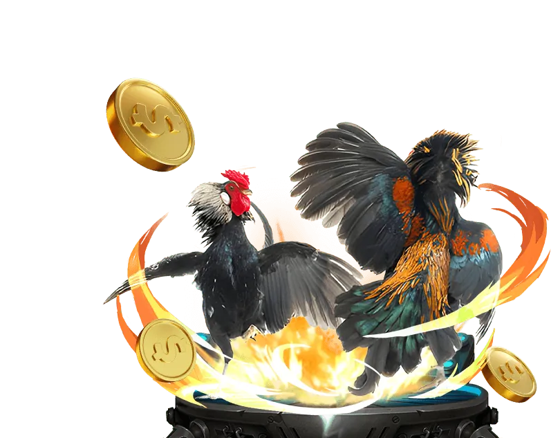 Biểu tượng cookie trên nền kỹ thuật số, tượng trưng cho bảo mật dữ liệu và quyền riêng tư trong cá cược đá gà trực tuyến.